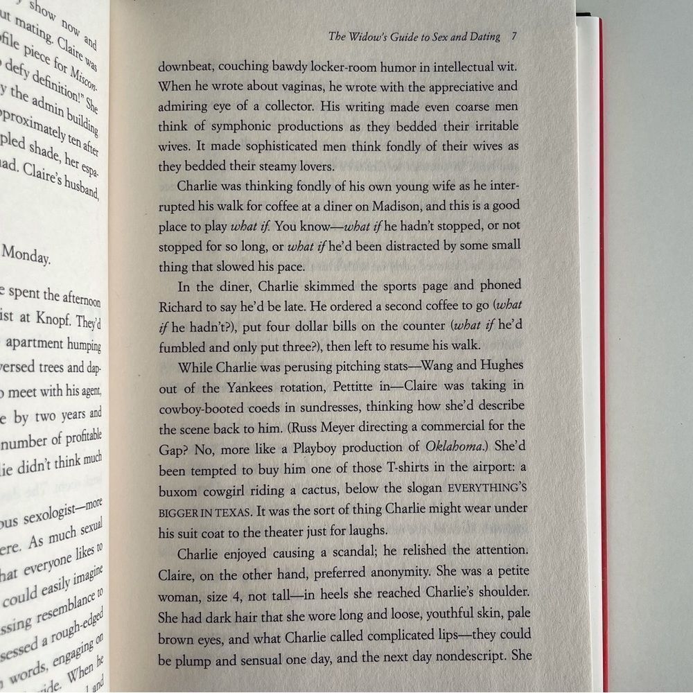 BOOK, The Widow’s Guide to Sex & Dating, a novel, 302 pages, Fiction, NOS - Picture 6 of 16